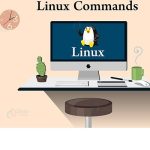 Linux Server