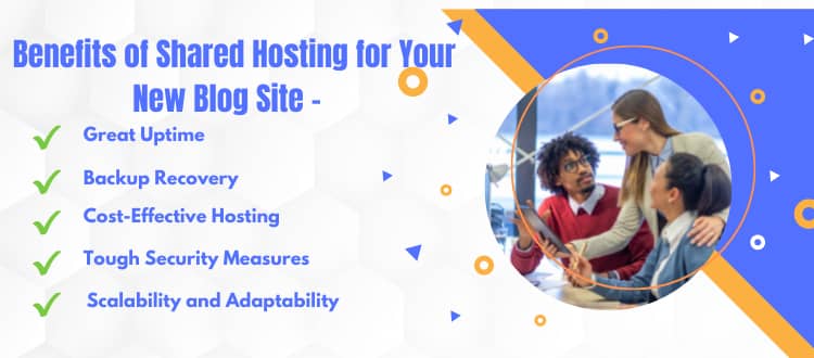 Shared web Hosting