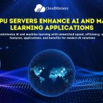 GPU Server