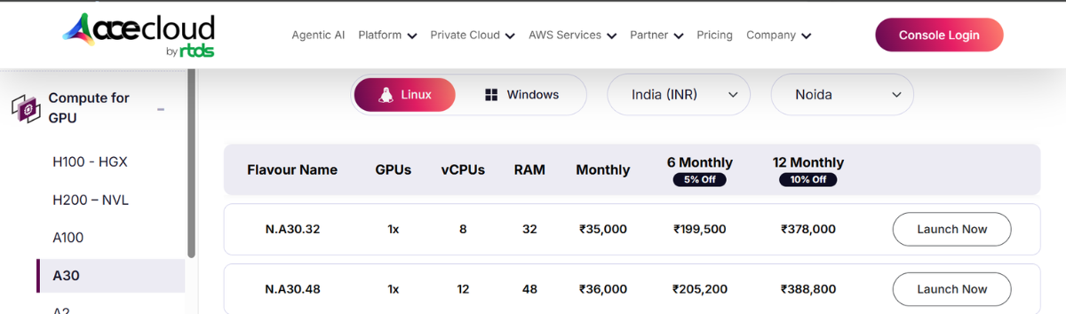 Acecloud GPU Server